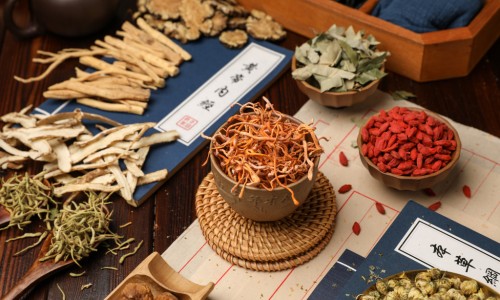 【地衣芽孢杆菌活菌胶囊联合用药】地衣芽孢杆菌最佳搭配 - 地衣牙孢杆菌联合用药建议网
