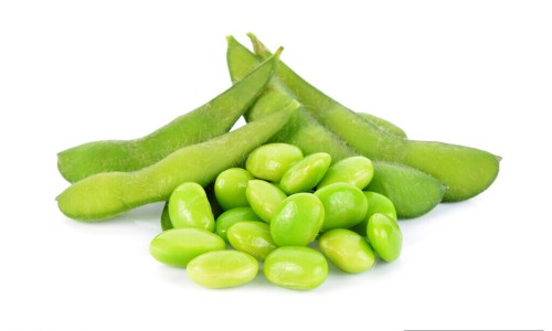 【地衣芽孢杆菌活菌胶囊联合用药】地衣芽孢杆菌最佳搭配 - 地衣牙孢杆菌联合用药建议网