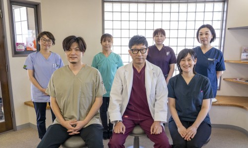 地衣牙胞杆菌-【地衣芽孢杆菌活菌胶囊联合用药】地衣芽孢杆菌最佳搭配 - 地衣牙孢杆菌联合用药建议网