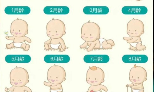 地衣牙胞杆菌-【地衣芽孢杆菌活菌胶囊联合用药】地衣芽孢杆菌最佳搭配 - 地衣牙孢杆菌联合用药建议网
